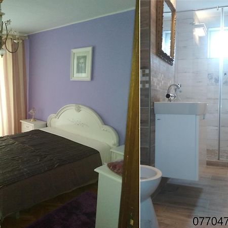 Pelican Proxy Apartment Oradea Exterior photo